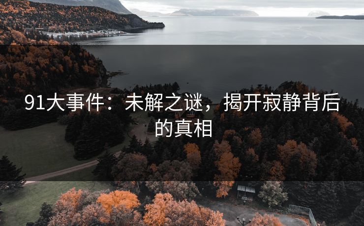 91大事件：未解之谜，揭开寂静背后的真相